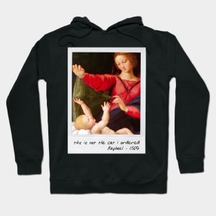 raphael - cat meme Hoodie